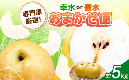 佐賀県産 梨（品種おまかせ）5kg / 和梨 果物 フルーツ 幸水 豊水 / 佐賀県 / リフルット株式会社[41ABAA025]