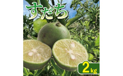 すだち 2kg すだちゼリー すだち果汁 すだち酢 徳島県産すだち 柑橘 果物 くだもの フルーツ 旬 期間限定 川島えがお倶楽部 2026年8月上旬～発送予定 徳島県 吉野川市