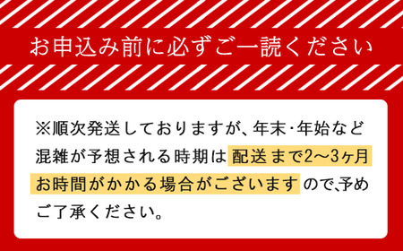 [大人気ハンバーグの定期便] 全2回/2ヶ月毎 合計20個 北海道 十勝牛 手ごねハンバーグ 200g×10個【 セット 牛100% 国産牛 牛肉 ハンバーグ パティ パテ 惣菜 小分け 冷凍 大きい