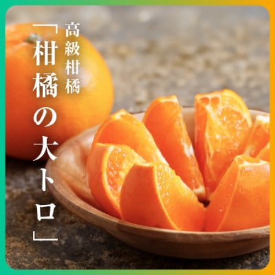 三代目の柑橘の大トロ【せとか】2kg【C31−49】【配送不可地域：離島】【1613130】