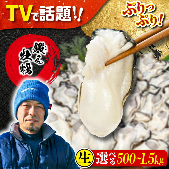 【ふるさと納税】牡蠣 テレビで話題！【生牡蠣】【選べる配送月・日・量】ミルキーな甘みと濃厚な旨み！むき身 500g〜1.5kg 人気 海鮮 簡単 レシピ ギフト 広島県産 江田島市/有限会社寺本水産 [XAE001] 牡蠣 生食 むき身 殻付き かき カキ 生牡蠣 カキフライ
