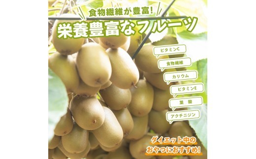 先行予約 キウイフルーツ キウイっこ 約1.2kg  果物 フルーツ キウイ グリーンキウイ デザート スイーツ ケーキ ジュース ゼリー アイス シャーベット ジェラート フルーツ大福 ドライフルー