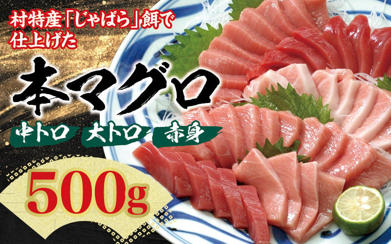 
            【発送時期が選べる！】 本マグロ（養殖）トロ＆赤身セット 500g / 北山村 人気 No.1 マグロ まぐろ 鮪 本まぐろ クロマグロ 中トロ とろ 赤身 柵 刺身 海鮮 鮮魚 魚 魚介 海の幸 冷凍 【nks110-cho】
          