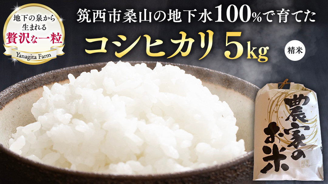 
            地下水100％で作る美味しい 「 コシヒカリ 」 5kg 令和7年産 米 お米 白米 コメ こしひかり 茨城県 精米 新生活 応援 [DU017ci]
          