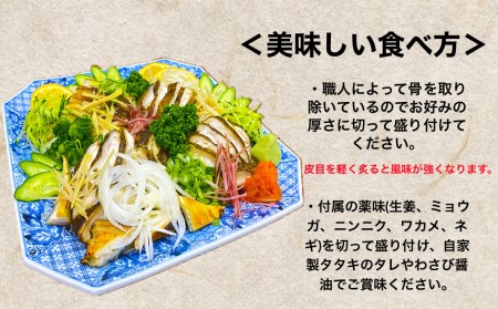≪ヤマシン≫ 土佐のウツボのタタキ 　たたき うつぼ 魚 海鮮 250g～300g コラーゲン 特製タレ付き 珍味 お取り寄せグルメ お祝い 冷蔵
