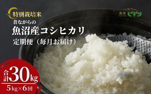 令和7年産 昔ながらの魚沼産コシヒカリ 精米30kg(5kg×毎月全6回) 農園ビギン【0002-BN12DB00-01】