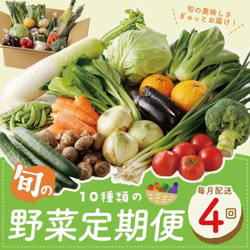 10種類の新鮮野菜 定期便 全4回 詰め合わせ 国産 毎月配送コース