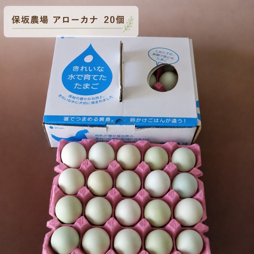 保坂農場の青玉（アローカナ） 20個