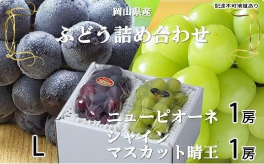 ぶどう 2026年 ニュー ピオーネ 1房 約400g  シャイン マスカット 晴王 1房 約400g 詰め合わせ ブドウ 葡萄  岡山県産 国産 フルーツ 果物 ギフト