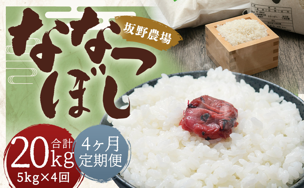 
                  【2026年10月上旬発送開始予定】【4ヶ月定期便】らんこし米 ななつぼし約5kg
                