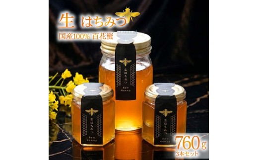 蜂蜜 ローハニー 130g 2本 500g 1本 セット はちみつ 国産 非加熱 百花蜜 生はちみつ 純粋 ハチミツ ハニー お取り寄せ お土産 発酵食品 下田みつばち 静岡県 下田市 伊豆
