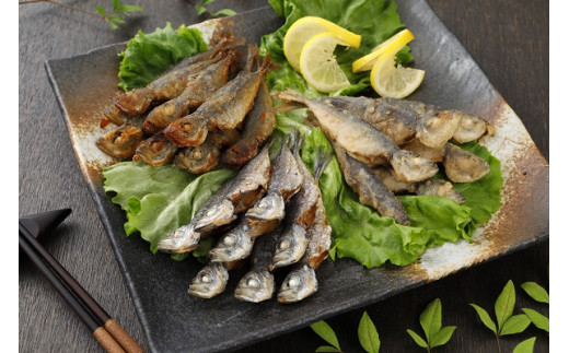 【のし付き】豆アジ三昧セット お歳暮にも 旬の時期の豆アジを揚げちゃいました！４種の味を楽しめる！_イメージ5