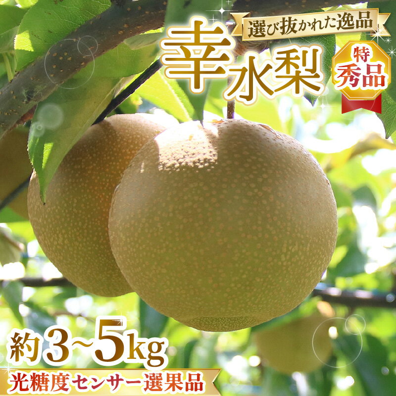 【ふるさと納税】【先行予約】特選大玉 幸水梨『特秀品』選び抜かれた逸品 3kg 5kg 光糖度センサー選果品 ※2026年8月下旬より順次発送