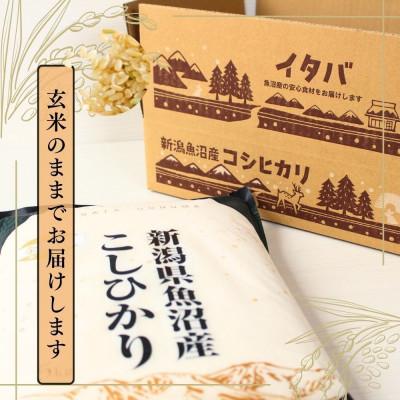 ふるさと納税 津南町 【令和7年産】魚沼産コシヒカリ金印(玄米)5kg |  | 01