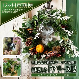 SL0231　【12回定期便】 リースの定期便「毎月楽しむドアリース12」