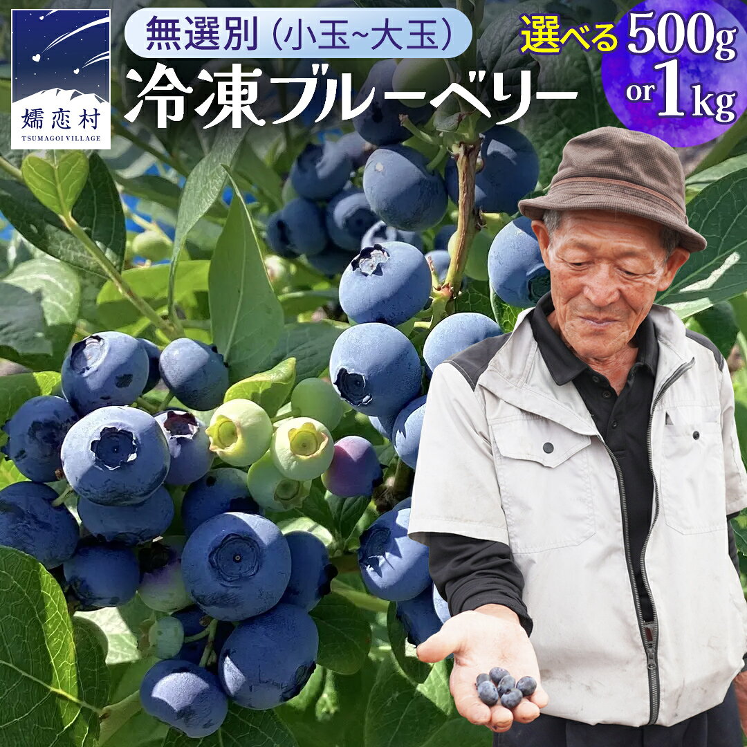 【ふるさと納税】 【 最短 7日以内 発送 】 冷凍 ブルーベリー 無選別（ 小玉 ～ 大玉 ） 500g or 1kg 選べる内容量 数量限定 国産 フルーツ スムージー 果物 くだもの 農家直送 スイーツ アイス ノーザンハイブッシュ系 ミックス