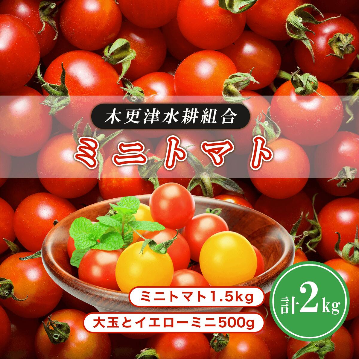 【ふるさと納税】ミニトマト1.5kg　大玉とイエローミニ500g 計2kg＜木更津水耕組合＞ ふるさと納税 ミニトマト 千葉県 木更津 送料無料 KBD001