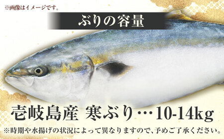 ブリの出張解体ショー《壱岐市》【壱岐島 玄海屋】[JBS128]