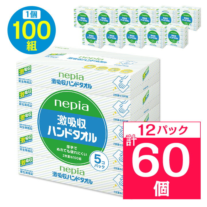 【ふるさと納税】ネピア激吸収ハンドタオル5個パック　_ 送料無料 キッチンペーパー ペーパータオル 日用品 まとめ買い 生活用品 消耗品 【1237596】