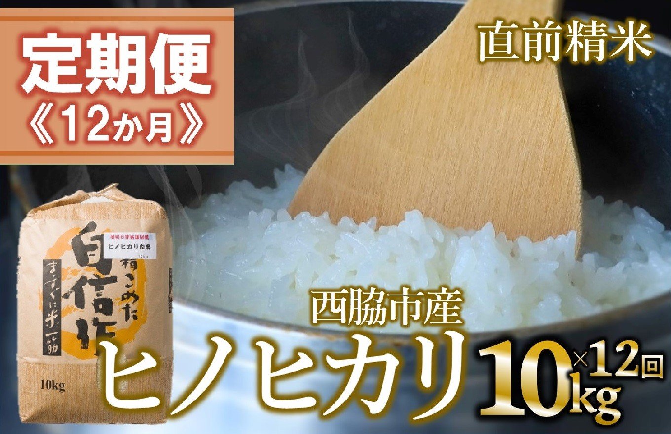 
            【定期便 12か月 ヒノヒカリ】白米10kg（12か月連続お届け）新米 2025年産　米 お米 米10㎏ お米10㎏ 兵庫県産 ひのひかり ヒノヒカリ 西脇市産 定期 連続 12回 12か月 1年 2025年産 精米 便利 らくちん ラク
          