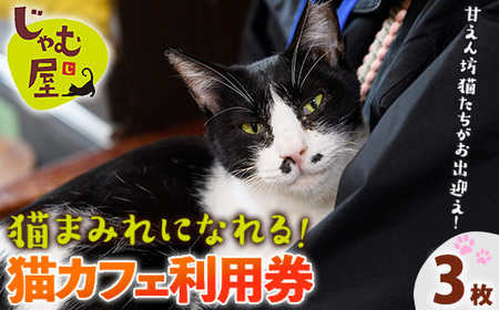 猫まみれになれる猫カフェチケット(3枚) チケット 猫 カフェ 体験 ネコ ねこ 保護猫 動物 カフェ利用チケット 保護猫カフェ 利用券 利用優待券 触れ合い ふれあい 体験型 動物カフェ 癒し 写真撮影 猫好き 【じゃむ屋】as15-005