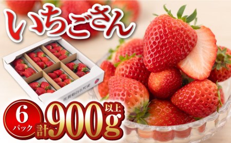 【産地直送！】旬のいちごをお届け！ 白石産 いちごさん 約150g×6パック（計900g以上）【道の駅しろいしカンパニー】/いちご イチゴ 苺 ブランドいちご 赤いちご 佐賀県産 白石町産 [IAA022]