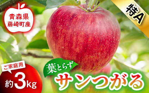 【先行予約】葉とらず サンつがる 特A 家庭用 約3kg【グランドアップル】 青森りんご リンゴ 林檎 アップル 果物 くだもの フルーツ  F41-0038
