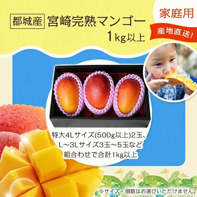 【先行受付!】宮崎完熟マンゴー家庭用1kg以上(都城産)〔MJ-3311〕_(都城産) 特大4Lサイズ(500g以上)2玉 L～3Lサイズ3玉～5玉など組合わせで合計1kg以上 宮崎マンゴー 産地直送