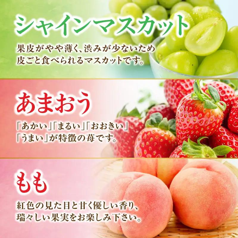 九州・福岡フルーツ王国八女 旬のフルーツ定期便【全3回】F ＜配送不可：北海道・沖縄・離島＞ フルーツ 定期便 あまおう シャインマスカット もも 季節のフルーツ 果物 おすすめ セット 産地直送 福