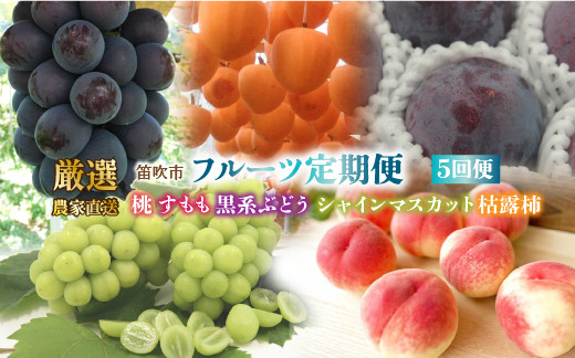 
＜2024年先行予約＞笛吹市産　厳選!農家直送「フルーツ定期便5回便」 205-013
