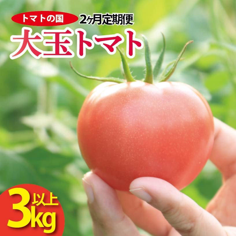 
            トマト 大玉 3kg 定期便 2回 大玉トマト サラダ トマトの国 野菜 やさい トマト 薄皮 完熟 高糖度 果物 スイーツ ジュース パスタ スパゲティー ソース サラダ ドレッシング 鍋 サンドイッチ ハンバーガー ピザ カレー ギフト 贈答 プレゼント お取り寄せ グルメ 送料無料 徳島県 阿波市 
          