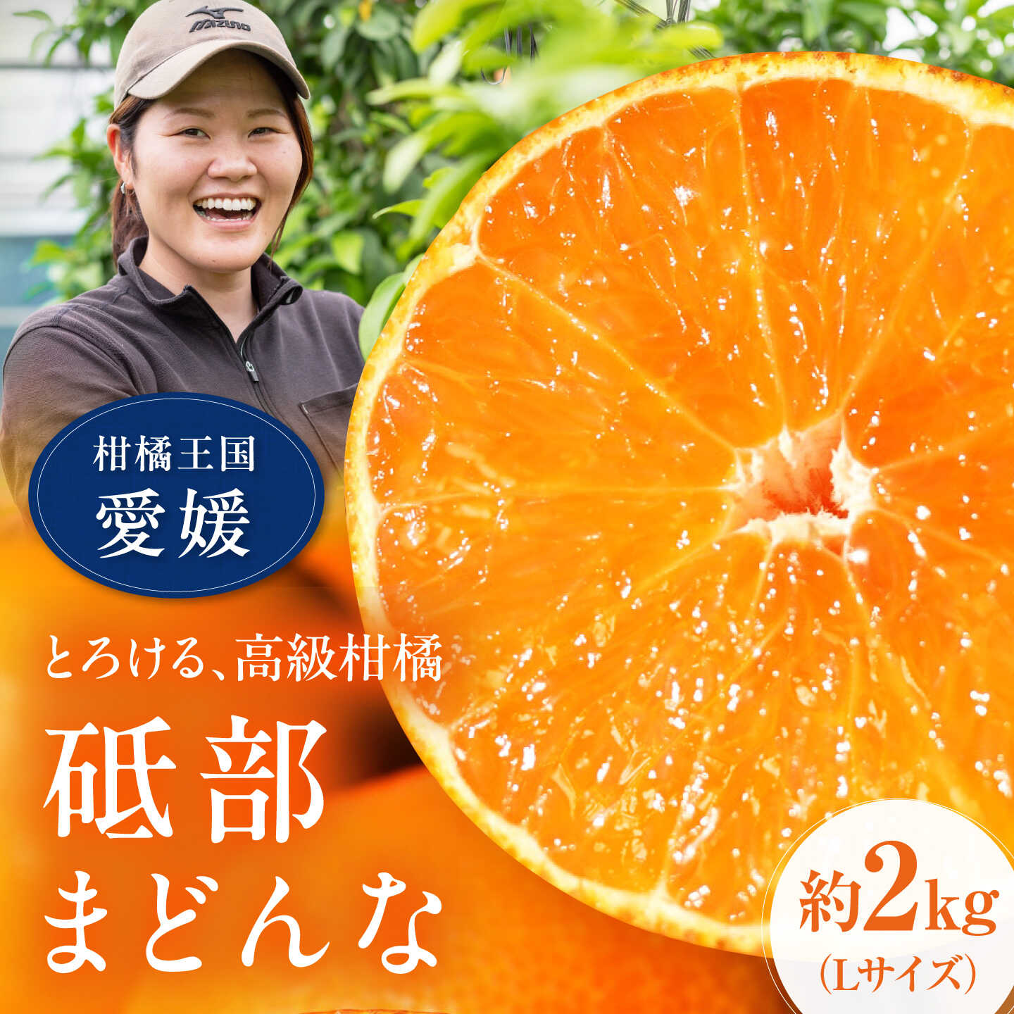 【ふるさと納税】みかん 紅まどんな 約2kg【11月中旬から12月下旬まで順次発送】/ フルーツ 果物 柑橘 蜜柑 ミカン オレンジ まどんな マドンナ 紅マドンナ 砥部まどんな 愛果28号 約2kg 甘い 先行予約 箱 贈答 ギフト プレゼント / 愛媛県砥部町/TOBE Orange Lab[BJCY001]