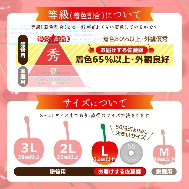 《先行受付》さくらんぼ 佐藤錦 500g 特秀品 Lサイズ 化粧箱入【2026年6月中旬頃～発送予定】【山形県産さくらんぼ】