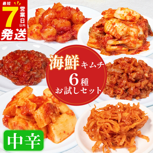【 本場の味を再現 】 海鮮キムチ 6種 詰め合わせセット 中辛 キムチ
