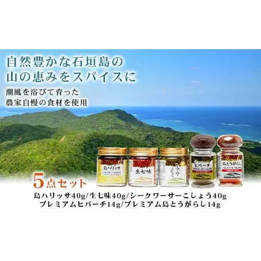 UY-1 石垣島海のもの山のものスパイス&オリジナル詰め合わせセットA