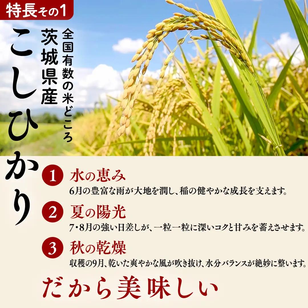 【 金芽米 ( 無洗米 ) 】 ＜9月下期出荷＞ つくばみらい市産 コシヒカリ 5kg × 2袋 ( 計 10kg )
