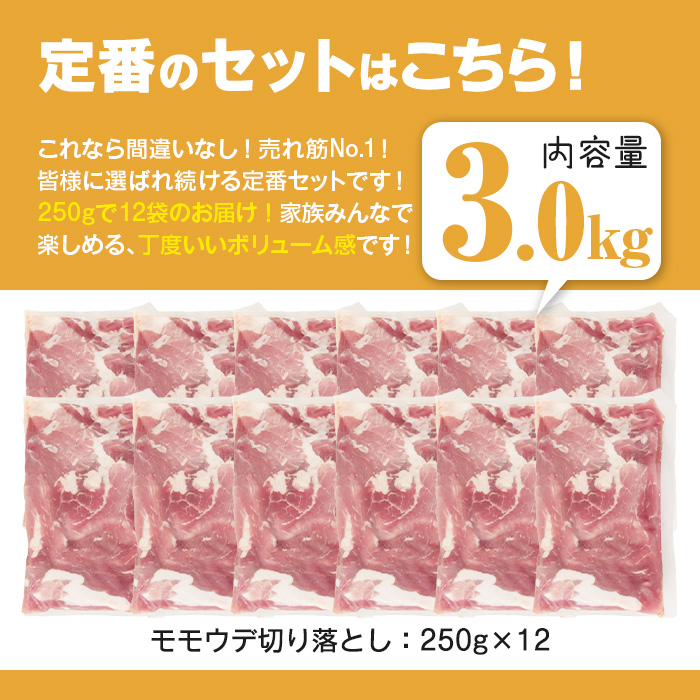 ＜選べる配送時期・内容量＞鹿児島県曽於市産 曽於ポーク切り落とし (計3.0kg) 真空パック 豚肉 切り落とし【Rana】A811-v01 ＜14営業日以内に発送予定＞3.0kg・250g×12パッ