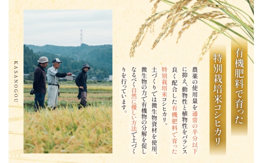 米 令和8年産 6回 定期便 特別栽培米 コシヒカリ 5kg [ かさの郷 石川県津幡町 tb17bgj610011] お米 こめ 令和8年 こしひかり 10キロ おこめ ご飯 ごはん ゴハン 精米 