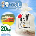 【ふるさと納税】【令和6年産新米】【先行予約】ひかりファーム の 夢つくし - 玄米 - 20kg【2024年10月以降順次発送】《築上町》【ひかりファーム】 32000円 [ABAV013]