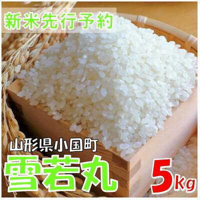 【ふるさと納税】【令和7年産米 先行予約】雪若丸 精米 5kg(5kg×1袋)　おぐにのこめ【1660264】