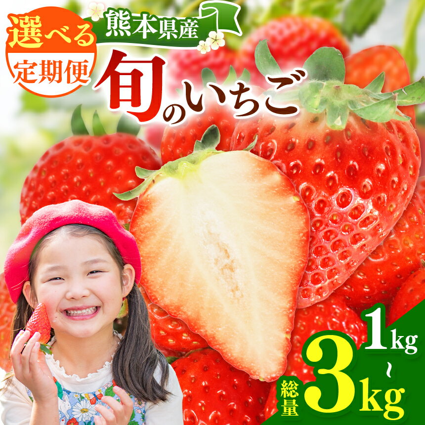 【ふるさと納税】選べる 内容量 ・ 回数 【定期便2回 or 3回】 旬のいちご 約500g or 1000g | 果物 くだもの フルーツ いちご 苺 イチゴ あまおとめ ゆうべに 熊本県 玉名市 あまおうと同じ糖度