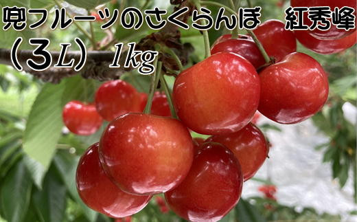 
            7-022-009　兜フルーツのさくらんぼ紅秀峰(3L）1kg
          