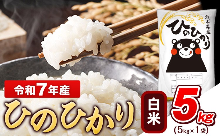 
                   令和7年産 白米 ひのひかり 5kg《3-7日以内に出荷予定(土日祝除く)》 令和7年産 熊本県産 ふるさと納税 無洗米 白米 精米 ひの 米 こめ ふるさとのうぜい ヒノヒカリ コメ お米 おこめ
                