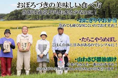＜ 定期便 6回 ＞ 北海道産 希少米 おぼろづき 白米 5kg 北海道 新ひだか町