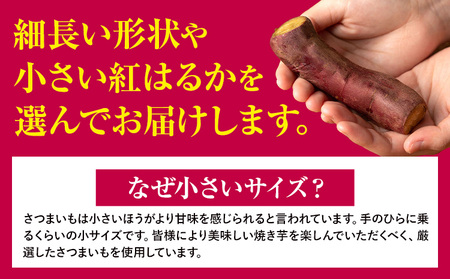 冷凍焼き芋1000g 《30日以内に出荷予定(土日祝除く)》さつまいも