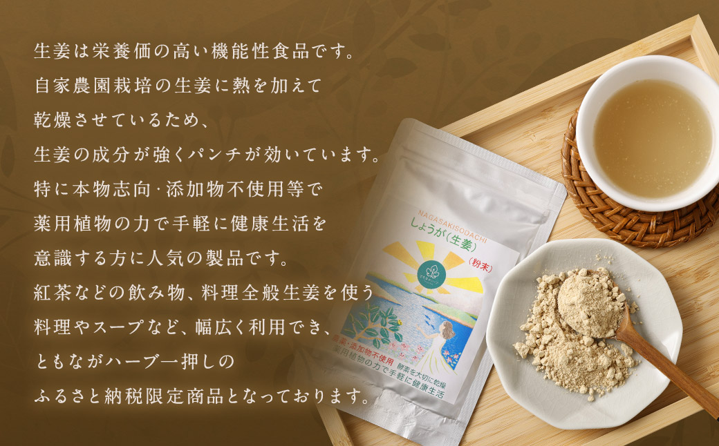 【14営業日以内発送】生姜粉末25gアルミ袋 ／ 調味料 生姜 しょうが ショウガ パウダー 粉 健康 健康食品 長崎県 長崎市