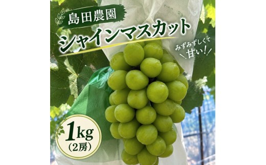 島田農園　シャインマスカット約1kg（2房入り）【令和9年8月下旬頃発送！予約受付中】【A-161】