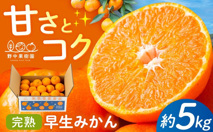 
                  みかん 約5キロ箱（完熟早生）【11月～12月発送】 長崎県/野中果樹園 [42AAAP005] みかん ミカン 柑橘 完熟 果物 くだもの フルーツ 5kg 長崎 ギフト 贈答
                