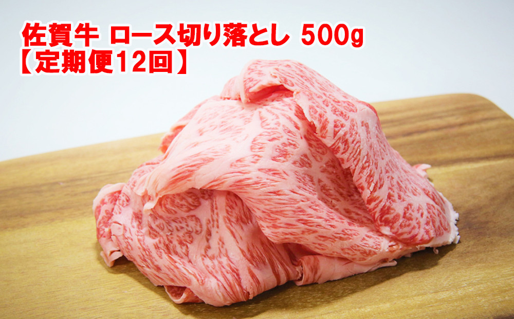 
            【定期便】佐賀牛ロース切り落とし500g【定期便12回】
          