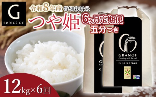 【令和8年産先行予約】【定期便6ヶ月】 特別栽培米 Gセレクション つや姫【五分つき】12kg (6kg×2袋)×6ヶ月 山形県鶴岡市産　株式会社グラノフ